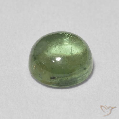 Tormalina Verde grigiastro naturale da 1.35 ct, Rotondo, Trasparente
