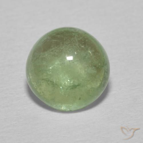 1.49ct Naturale Verde Terra Pallido Tormalina, Rotondo, Trasparente
