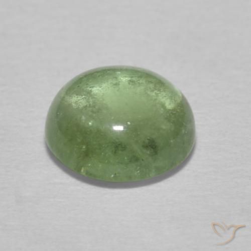 Tormalina Verde Terra Pallido naturale da 1.49 ct, Rotondo, Trasparente