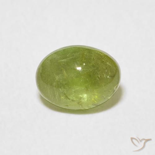Tormalina Verde oliva naturale da 0.69 ct, Ovale, Trasparente