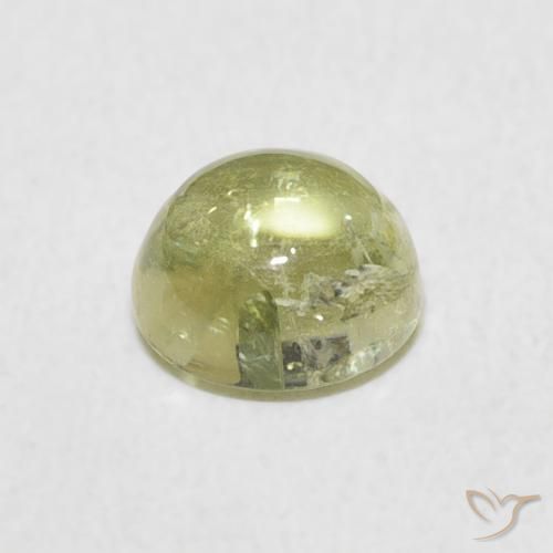 Tormalina Caldo terroso verde naturale da 1.02 ct, Rotondo, Trasparente