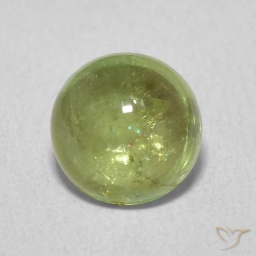 1.61ct Naturale Verde oliva Tormalina, Rotondo, Trasparente