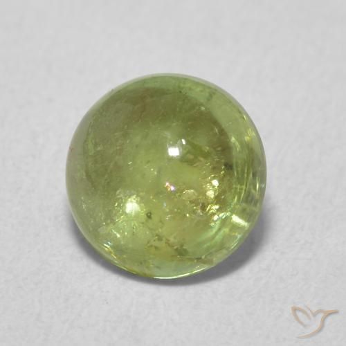 Tormalina Verde oliva naturale da 1.61 ct, Rotondo, Trasparente