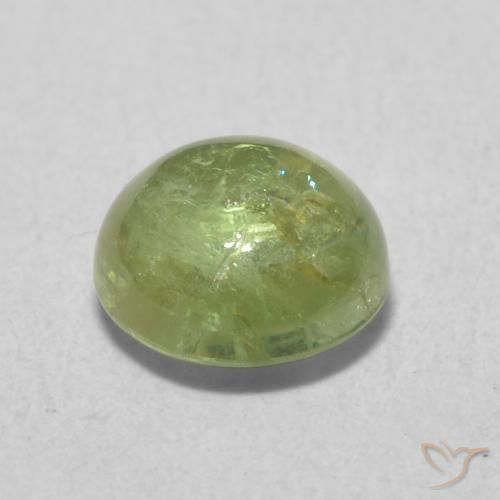 Tormalina Verde oliva naturale da 1.61 ct, Rotondo, Trasparente