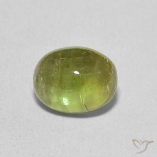 1.39ct Naturale Verde foresta chiaro Tormalina, Ovale, Trasparente