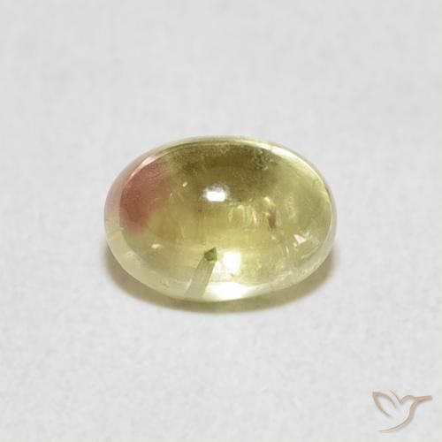 0.96ct Naturale Bi-Colore Tormalina, Ovale, Trasparente