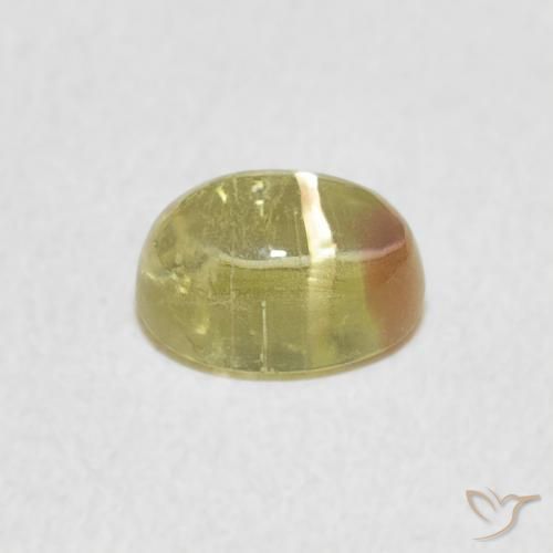 Tormalina Bi-Colore naturale da 0.96 ct, Ovale, Trasparente