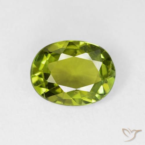 1.52ct Naturale Verde scuro Tormalina, Ovale, VS