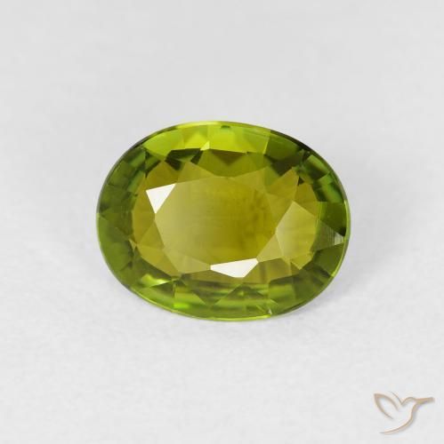 Tormalina Caldo bosco verde naturale da 1.32 ct, Ovale, VS