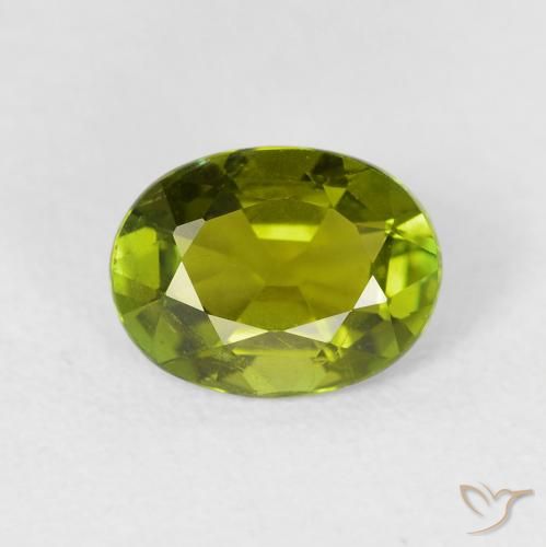 1.49ct Naturale Caldo bosco verde Tormalina, Ovale, VS