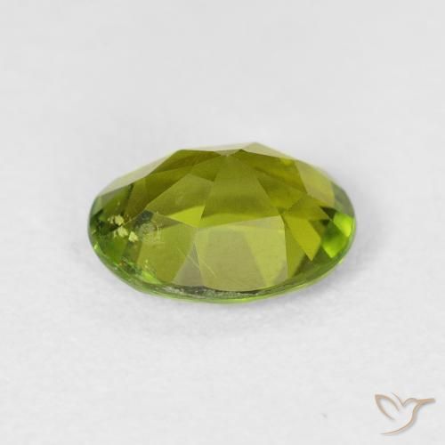 Tormalina Caldo bosco verde naturale da 1.49 ct, Ovale, VS