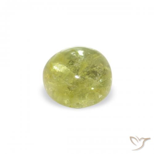 Tormalina Verde giallastro naturale da 0.59 ct, Rotondo, Trasparente