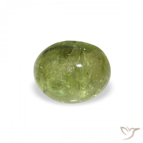 0.79ct Naturale Verde medio Tormalina, Ovale, Trasparente