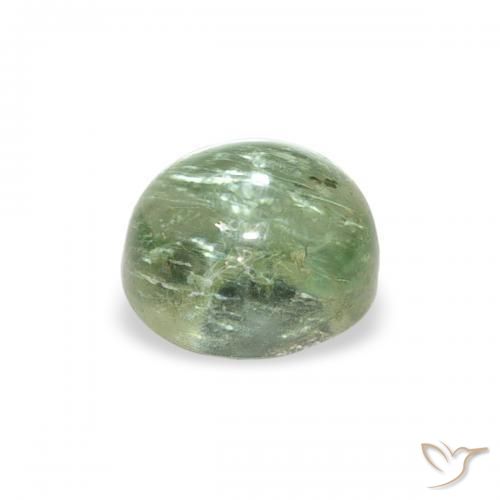 Tormalina Verde foresta chiaro naturale da 0.81 ct, Ovale, Trasparente