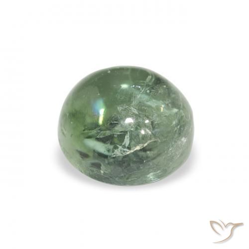 Tormalina Verde bosco pallido naturale da 1.01 ct, Rotondo, Trasparente