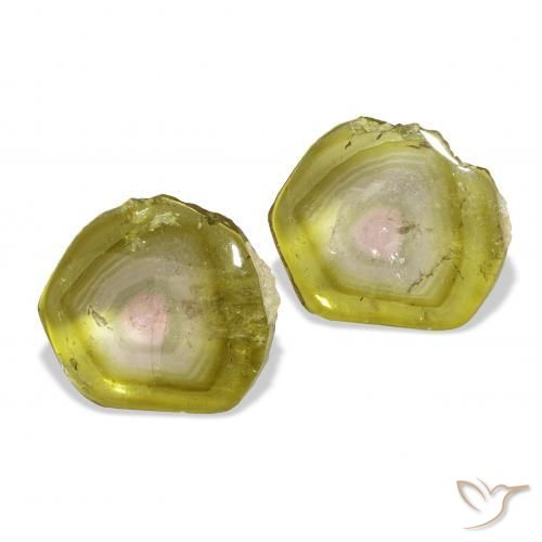 Gemme di Tormalina Colo anguria naturale da 7.05 ct, Taglio a fantasia, Trasparente