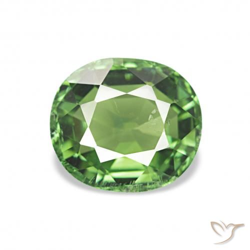 1.32ct Verde scuro Tormalina, Ovale, VS