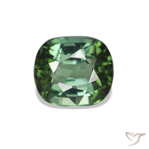 1.55ct Verde scuro Tormalina, Cuscino, VVS-VS