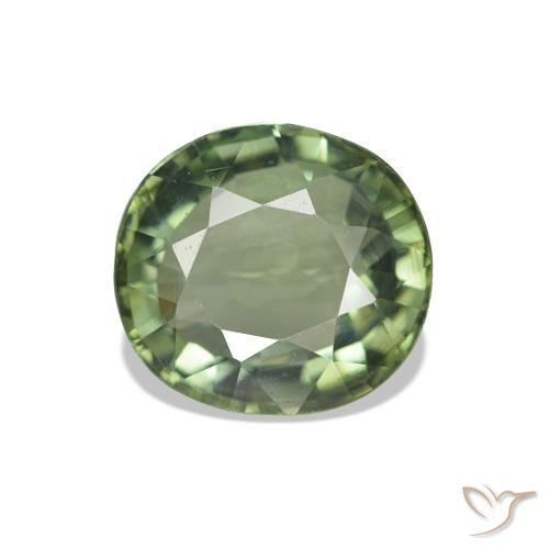 1.57ct Verde foresta chiaro Tormalina, Ovale, VVS