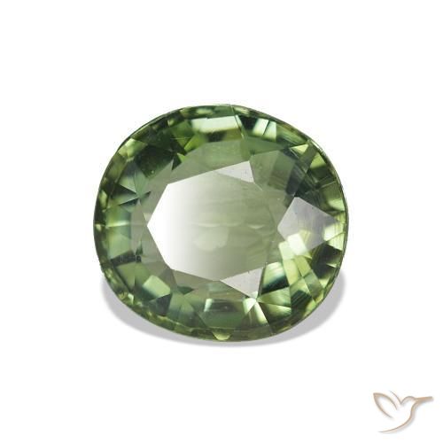 Tormalina Verde foresta chiaro naturale da 1.57 ct, Taglio ovale, VVS