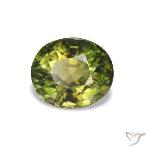 Tormalina Medium Dark-Green naturale da 1.58 ct, Taglio ovale, VVS-VS