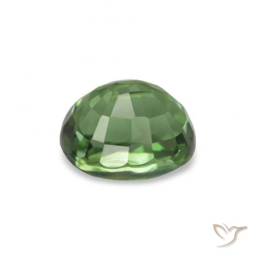 Tormalina Verde scuro naturale da 1.40 ct, Taglio ovale, VVS-VS