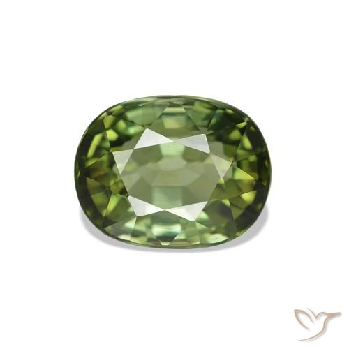 1.67ct Verde foresta Tormalina, Ovale, VVS