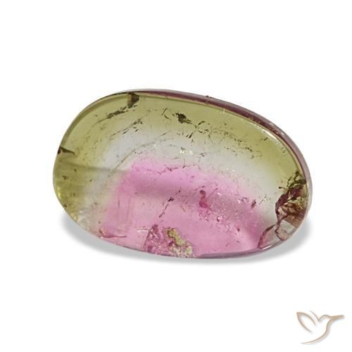 Tormalina naturale multicolore da 1,66 ct, forma fantasia, trasparente