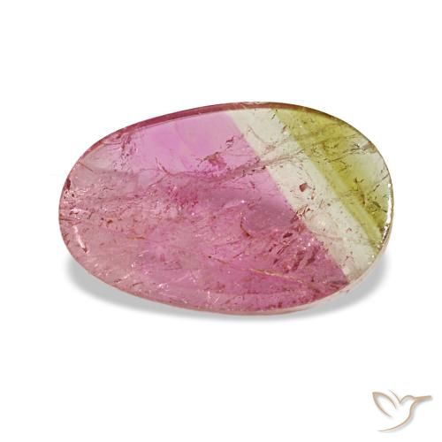 Tormalina naturale bicolore da 1,59 ct, taglio ovale, trasparente