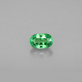 Granato Tsavorite Cromo verde naturale da 0.64 ct, Taglio ovale, VS