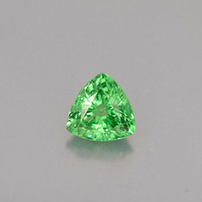 Granato Tsavorite Cromo verde naturale da 0.30 ct, Taglio trillion, VS