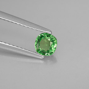 Granato tsavorite verde naturale da 0,35 ct, taglio a cuscino, VVS-VS