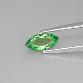 Granato tsavorite naturale verde da 0,75 ct, marchesa, VVS-VS