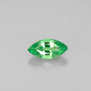 Granato Tsavorite Cromo verde naturale da 0.31 ct, Taglio marquise, VVS-VS