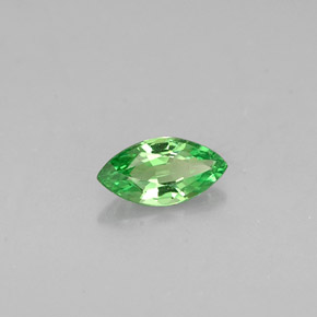 Granato Tsavorite Cromo verde naturale da 0.27 ct, Taglio marquise, VVS-VS