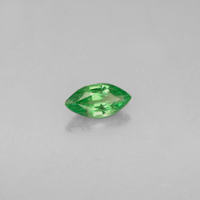 Granato Tsavorite Cromo verde naturale da 0.28 ct, Taglio marquise, VVS-VS