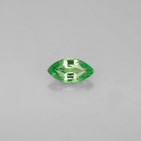Granato Tsavorite Cromo verde naturale da 0.28 ct, Taglio marquise, VVS-VS
