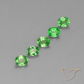 Gemme di Granato Tsavorite Verde acceso naturale da 1.41 ct, Ovale, VS
