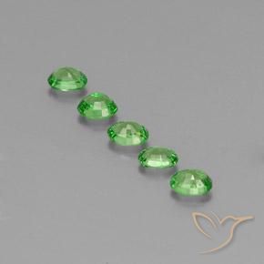 Gemme di Granato Tsavorite Verde acceso naturale da 1.41 ct, Ovale, VS