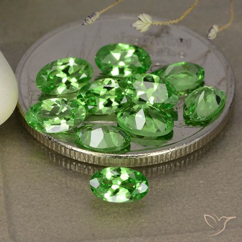 2.68ctw Naturale Verde medio Granato Tsavorite, Ovale, VS