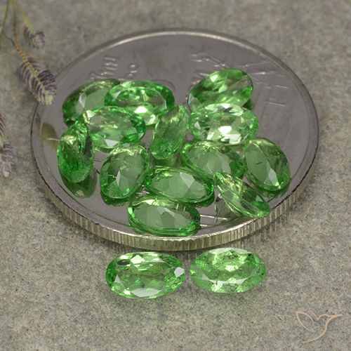 3.01ctw Naturale Verde acceso Granato Tsavorite, Ovale, VS