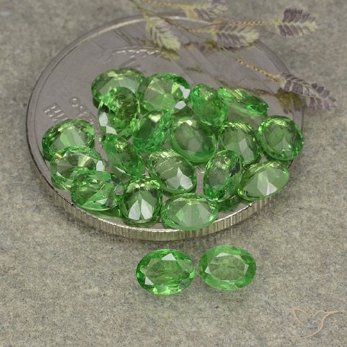 3.04ctw Naturale Verde medio Granato Tsavorite, Ovale, VS