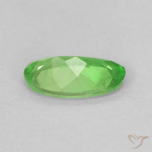 Granato Tsavorite Verde brillante naturale da 0.22 ct, Ovale, VS