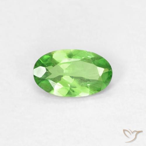 0.25ct Naturale Verde acceso Granato Tsavorite, Ovale, VVS-VS