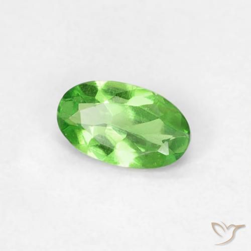 Granato Tsavorite Verde acceso naturale da 0.25 ct, Ovale, VVS-VS