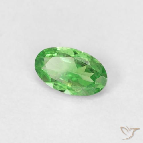 Granato Tsavorite Verde acceso naturale da 0.22 ct, Ovale, VVS-VS