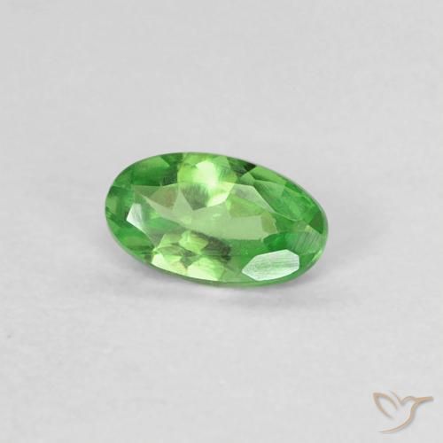 Granato Tsavorite Verde acceso naturale da 0.22 ct, Ovale, VVS