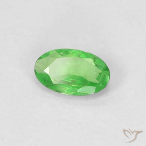 Granato Tsavorite Verde acceso naturale da 0.27 ct, Ovale, VVS