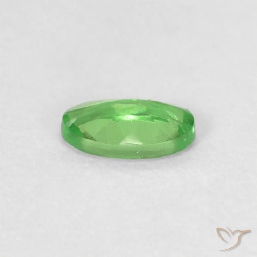 Granato Tsavorite Verde acceso naturale da 0.27 ct, Ovale, VVS