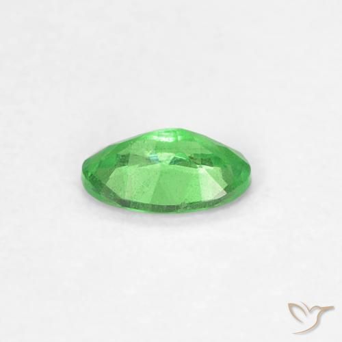 Granato Tsavorite Verde acceso naturale da 0.23 ct, Taglio ovale, VS